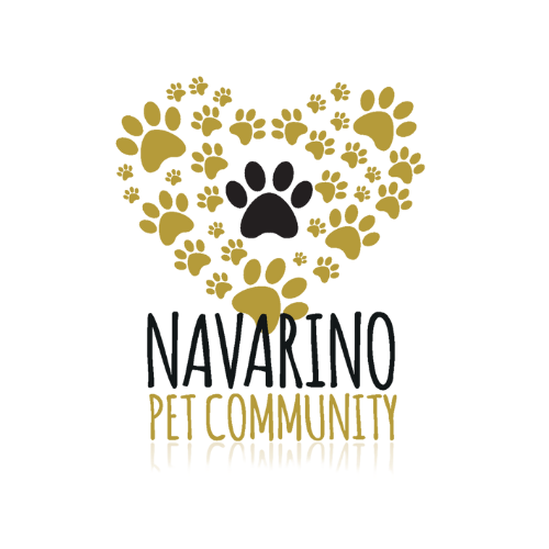 Navarino Pet Community – Adopt a Stray Dog